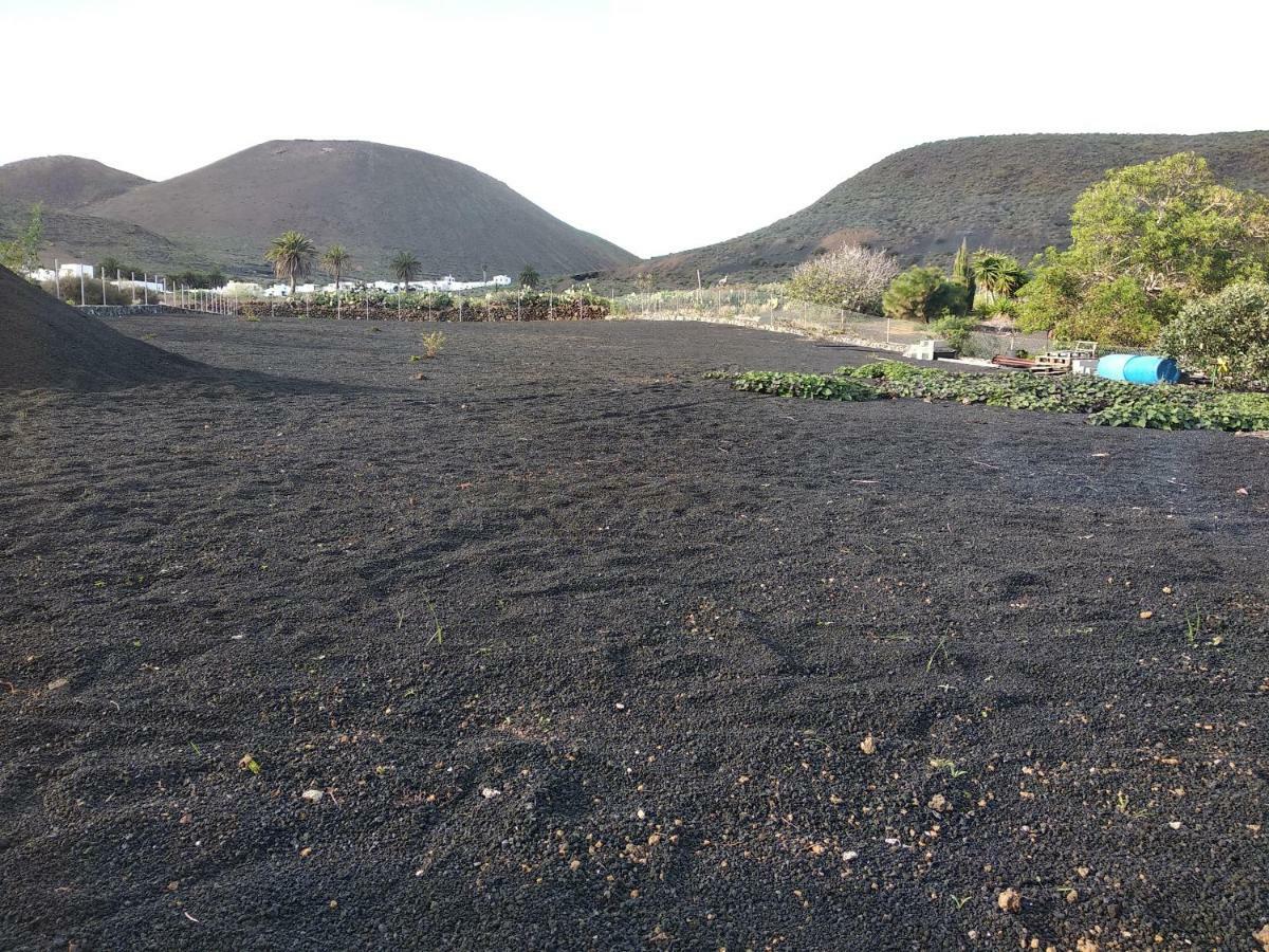 Finca La Tabaiba Máguez Exteriör bild
